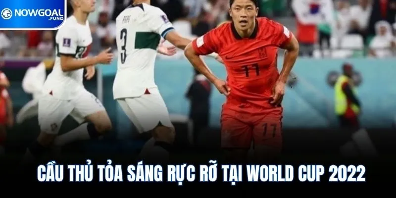Hwang Hee-Chan - Từ Bóng Đá Hàn Quốc Đến Ngoại Hạng Anh 4 Cầu thủ tỏa sáng rực rỡ tại World Cup 2022