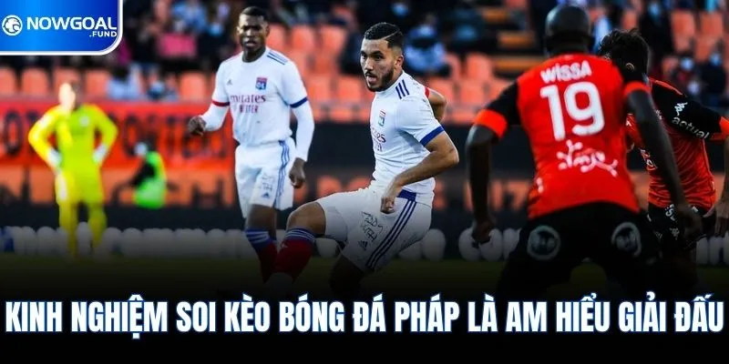 Tổng Hợp Kinh Nghiệm Soi Kèo Bóng Đá Pháp Mới Nhất 2026 1 Kinh nghiệm soi kèo bóng đá Pháp là am hiểu giải đấu
