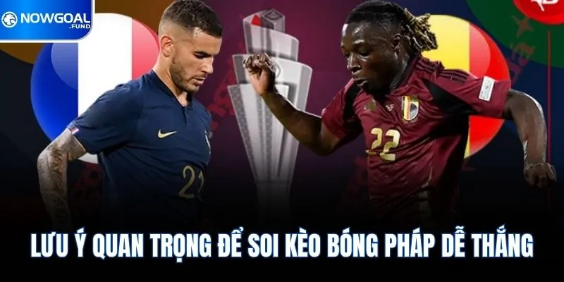 Tổng Hợp Kinh Nghiệm Soi Kèo Bóng Đá Pháp Mới Nhất 2026 4 Lưu ý quan trọng để soi kèo bóng Pháp dễ thắng